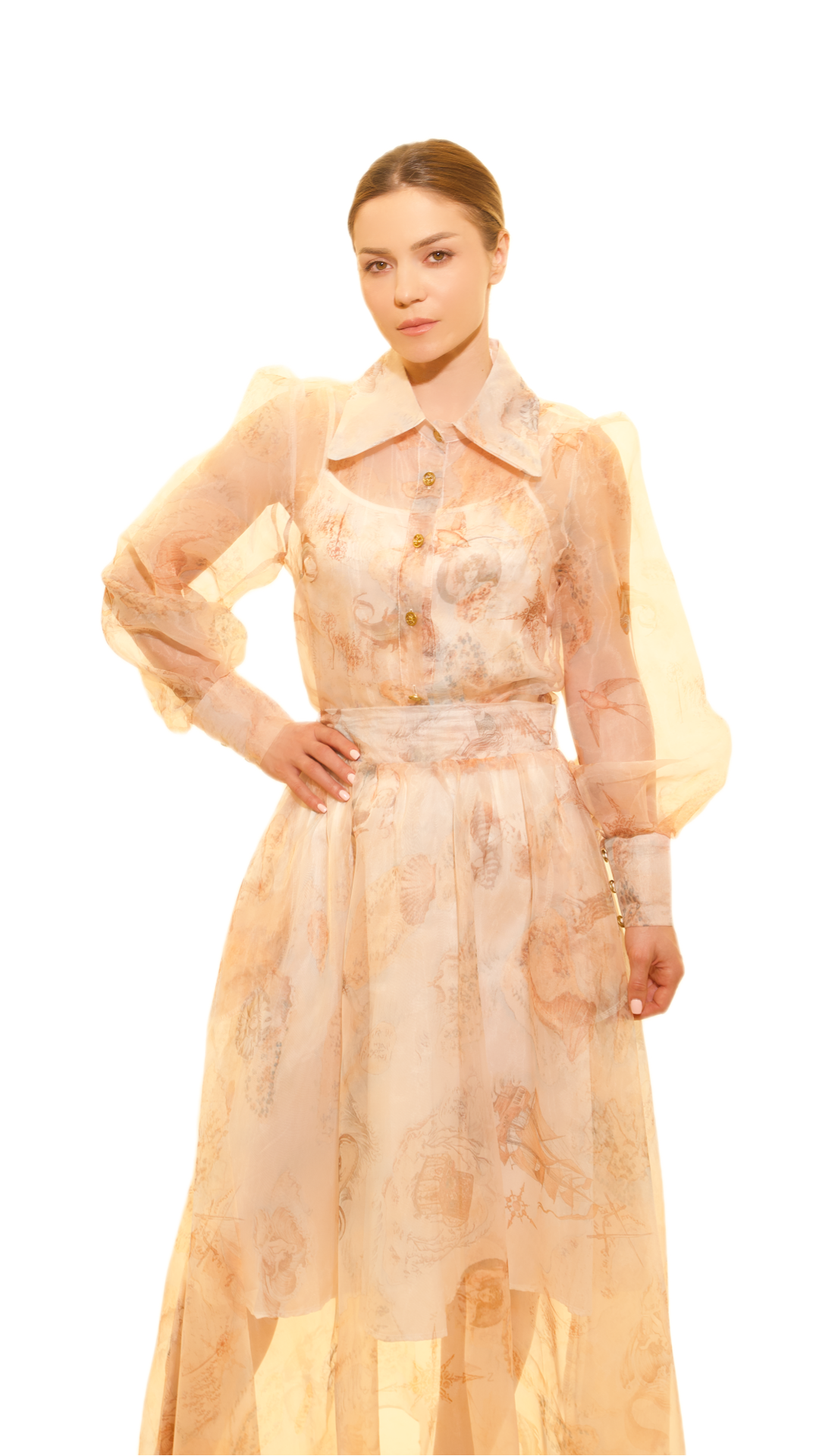 Elegant Sheer Floral Blouse and Skirt Set
