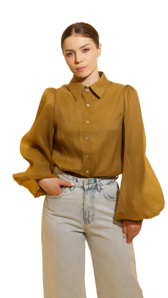 Elegant Puff Sleeve Button-Up Blouse